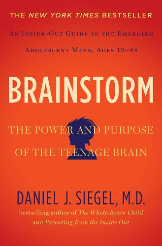 Brainstorm - Dr. Dan Siegel
