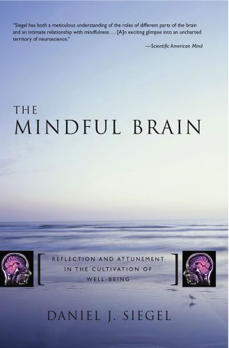 Mindful or Mind Full? - Getting Started on Your Mindfulness Journey